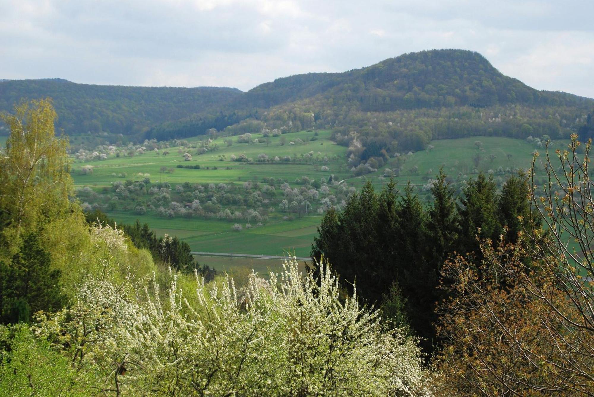 Ferienwohnungen Beim Imker Mössingen Extérieur photo